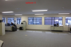 Optimized-IMG_1940