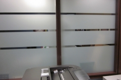 Optimized-IMG_2041