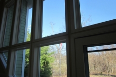 Optimized-IMG_2050