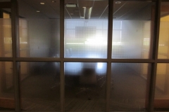 Optimized-IMG_2057