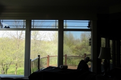 Optimized-IMG_2061