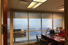 frosted decorative-5