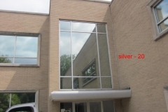 silver