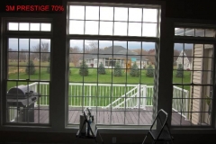 window tint services
