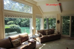 window tint for homes